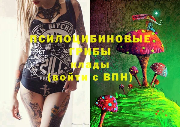 ECSTASY Гусь-Хрустальный