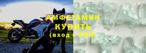 индика Дмитров