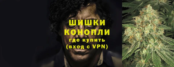 ГАЛЛЮЦИНОГЕННЫЕ ГРИБЫ Сосновоборск