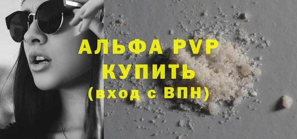 ECSTASY Гусь-Хрустальный