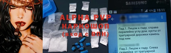 стафф Гусев