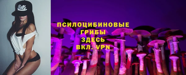 гидра Гусиноозёрск