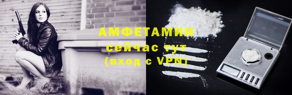 ECSTASY Гусь-Хрустальный
