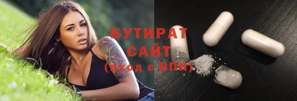 ECSTASY Гусь-Хрустальный
