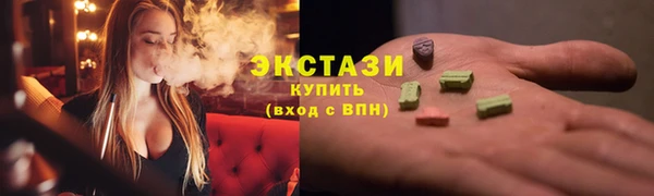 ECSTASY Гусь-Хрустальный