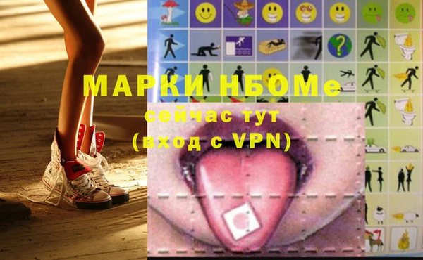 стафф Гусев