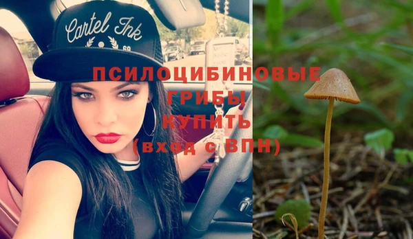 гидра Гусиноозёрск
