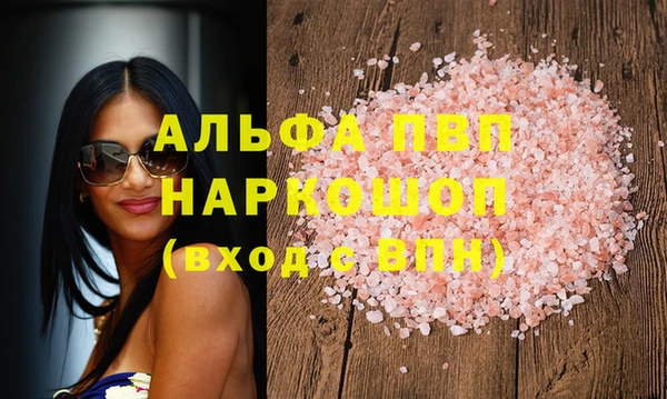 стафф Гусев