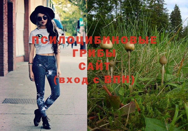 стафф Гусев