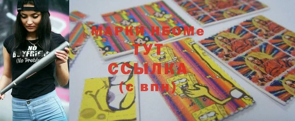 стафф Гусев