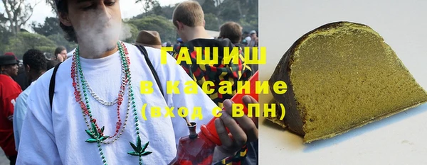 стафф Гусев