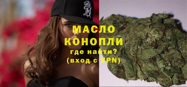 стафф Гусев