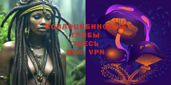 стафф Гусев