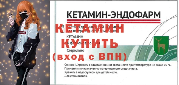 ECSTASY Гусь-Хрустальный