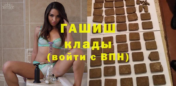 стафф Гусев