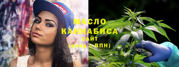 гидра Гусиноозёрск