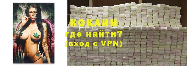 гидра Гусиноозёрск