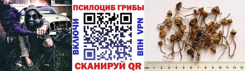 Галлюциногенные грибы ЛСД  Купить где  Рославль 